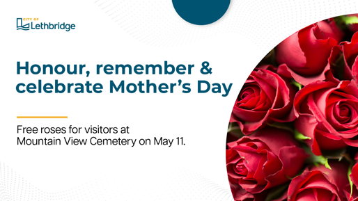 Mother's Day roses social graphic