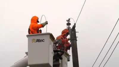 powerlines men