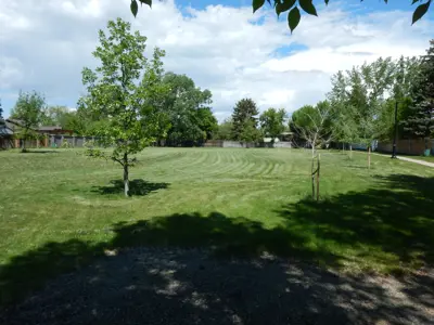 Green strip behind homes 