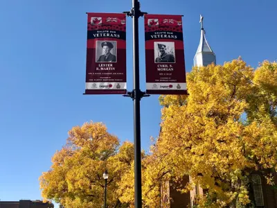 Remembrance Day Light Banners Downtown Fall 