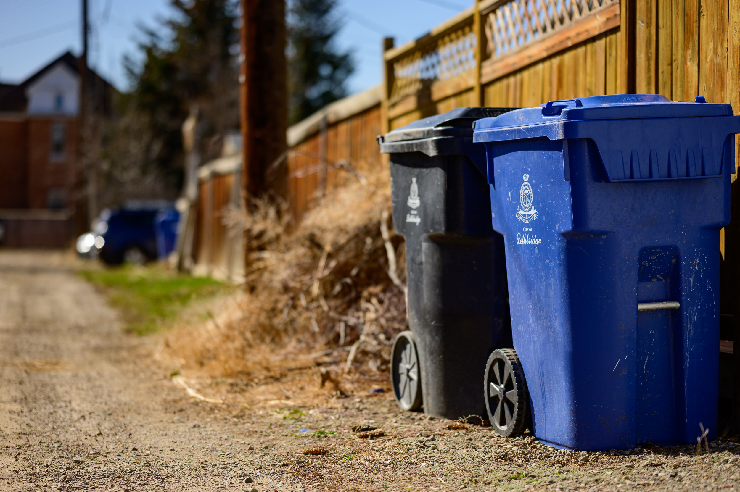 Waste Garbage Recycling Bins in alley