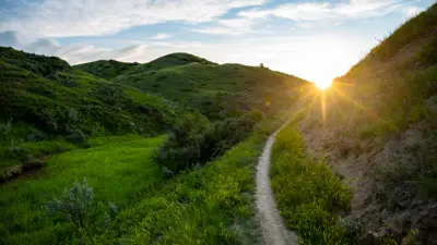 Green Coulee Trail Sunset Blue Sky