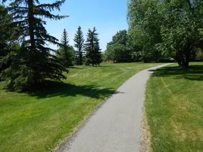 Coachwood Park Trail