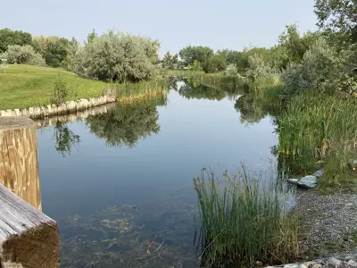 Nicholas Sheran park pond summer