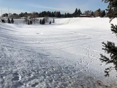 Sugar Bowl Sledding winter hill 