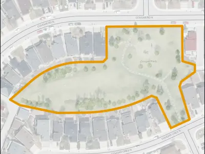 Cougar Park map outline