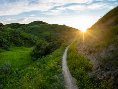 sunset on green summer coulee trail 