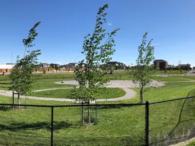 Riverstone Dog Park