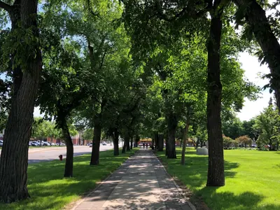 Tree covered downtown Galt Park walking path