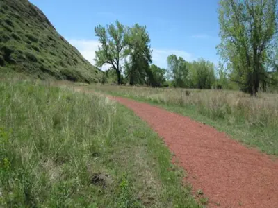 Path to the south end of the Wilderness Park summer, 2013. Photo: T. Purkis