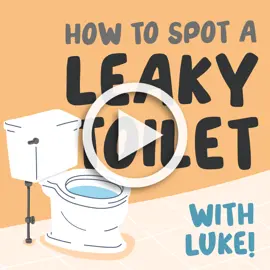 How to spot a leaky toilet graphic