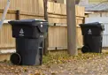 Black garbage bins in alley fall