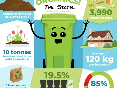 Green Cart Infographic Six Months Stats