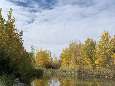 Sunridge pond fall